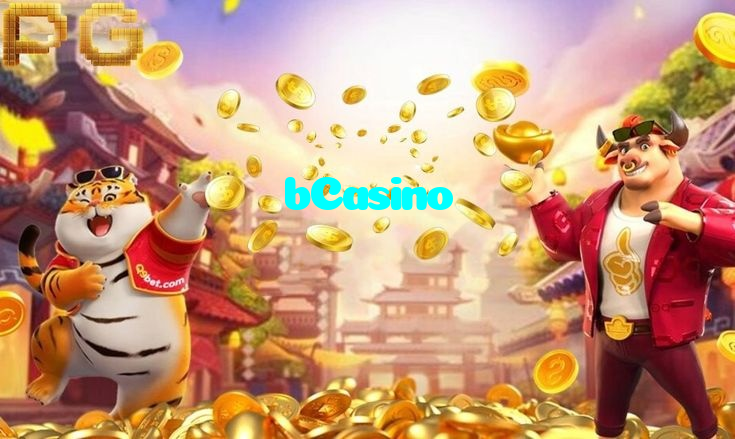 available types of bCasino bet including pre-match live express and system bets